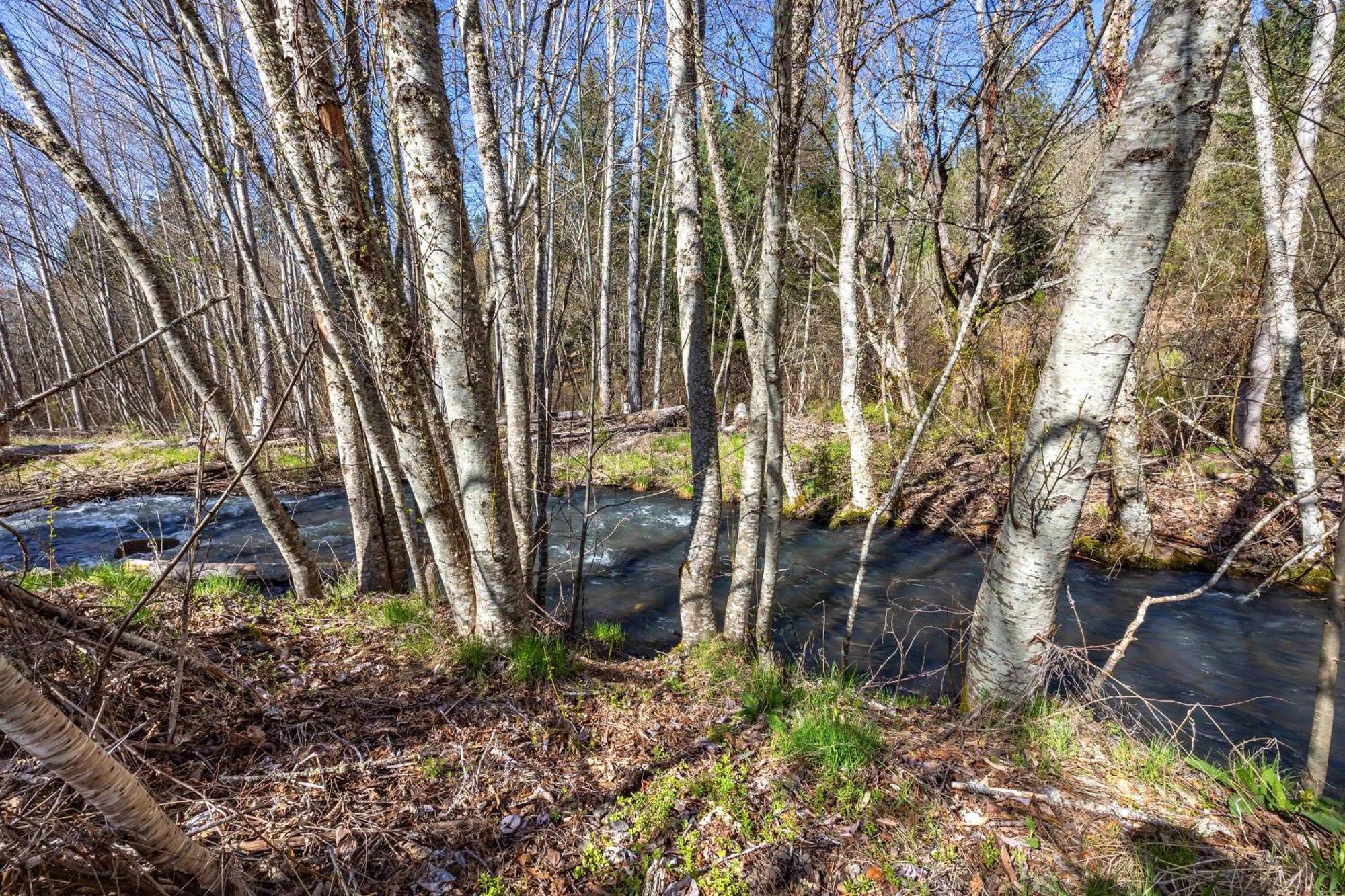 Вилла Neal Creek Retreat Mount Hood Экстерьер фото