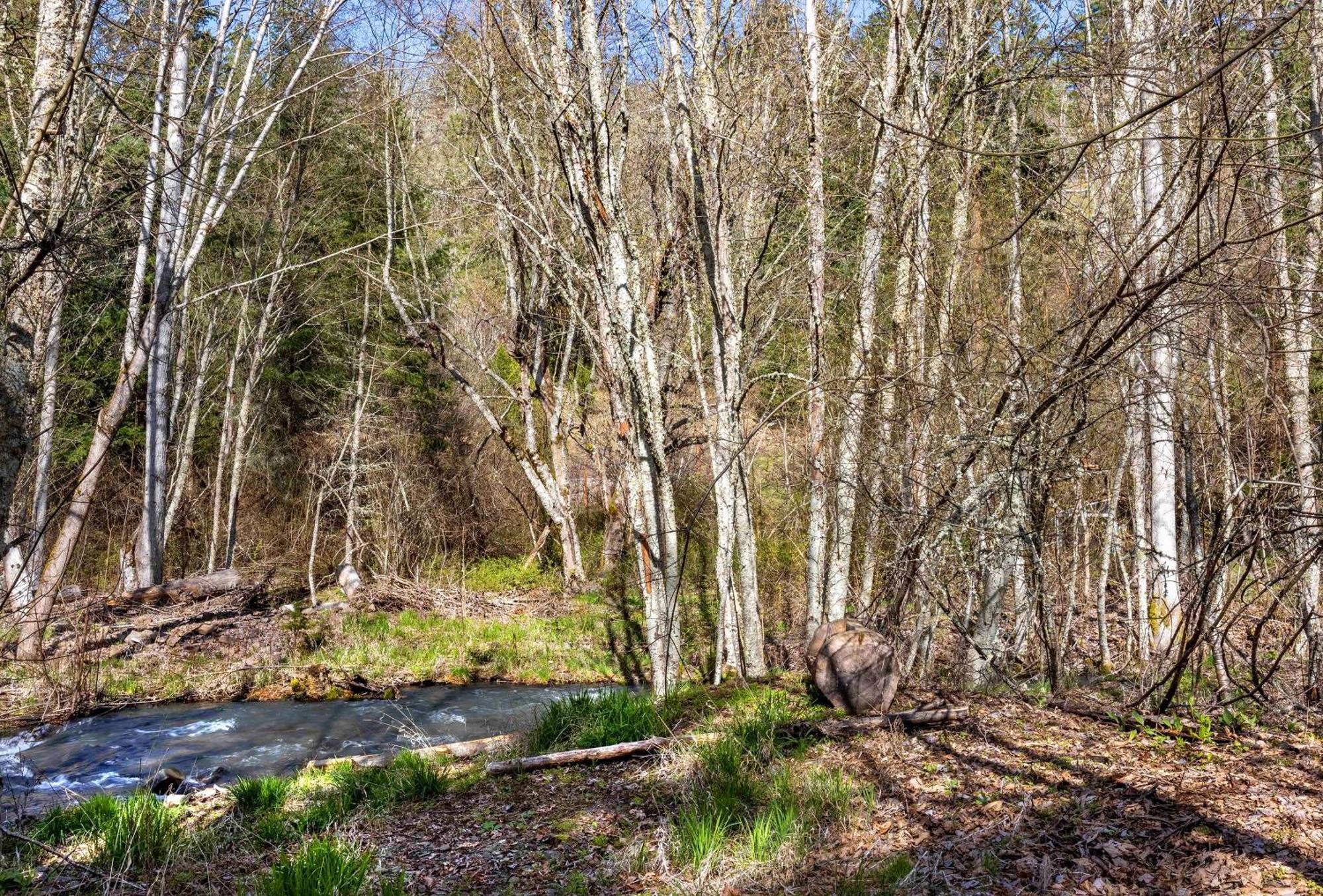 Вилла Neal Creek Retreat Mount Hood Экстерьер фото